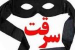 سرقت از خانم دکتر به سبک فیلمهای خارجی!