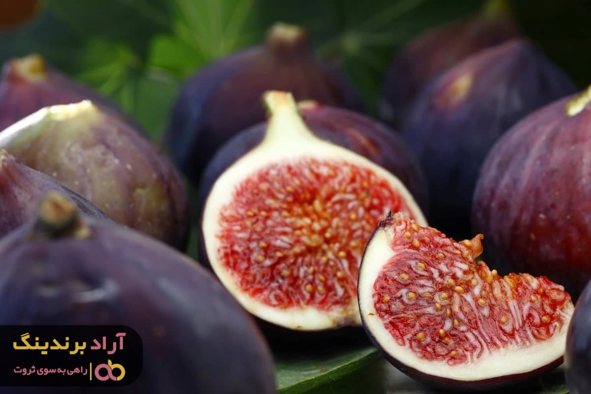 انجیر سیاه خسروی