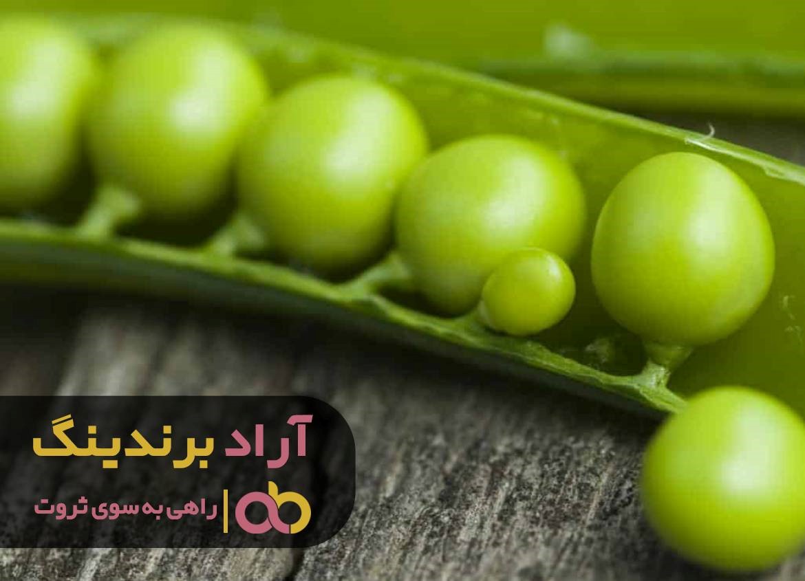 قیمت خرید نخود فرنگی خام