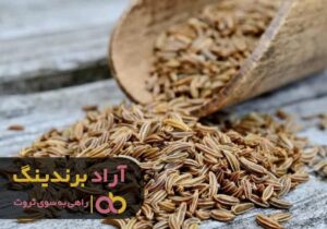 زیره چاشنی ثروت من در زندگی ام شد