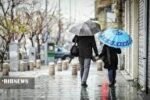 چتر 20 میلیونی!