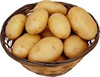 اگر استخوان درد دارید سیب زمینی بخورید!