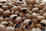 خوراک لوبیا چشم بلبلی و فواید آن