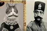 مشهورترین گربه تهران