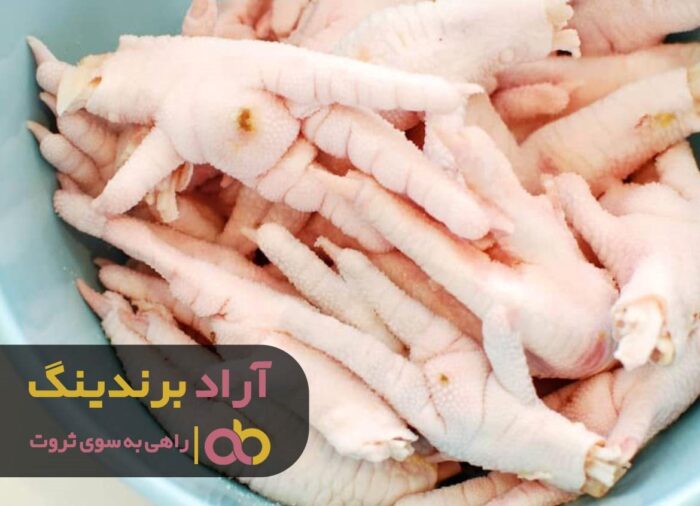 پای مرغ در زنجان