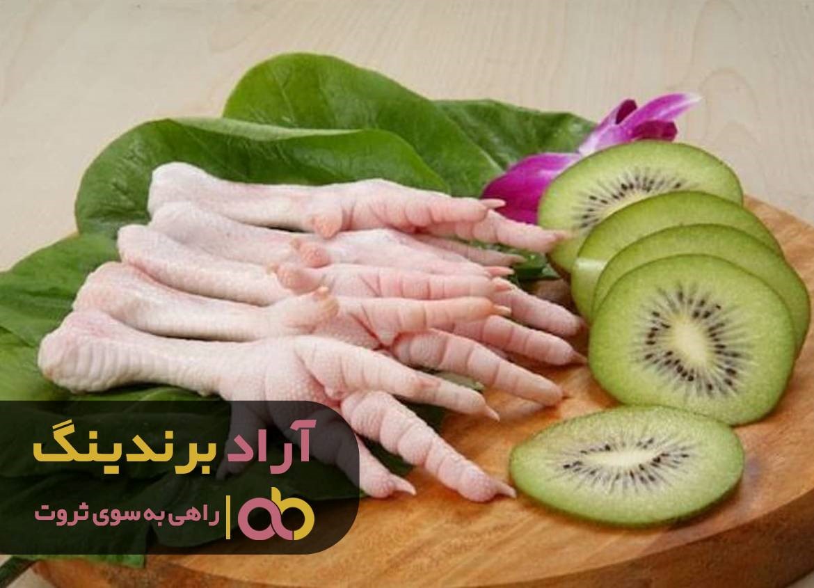 ثروتمندی را در سحرخیز بودنم پیدا کردم