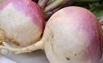 سم زدایی کلی بدن با شلغم و پیاز + فیلم