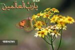 شروع هفته خود را با دعایی بیاموزید که راهگشا است + فیلم