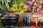 گیاه دارویی مقاوم به بی آبی