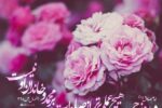 اعمال کامل روز جمعه از صبح تا غروب + فیلم