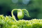 با عمل خودت بهشت و جهنم ایجاد می‌کنی+فیلم