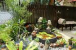 باغچه کوچک خودتان را داشته باشید حتی بدون حیاط + فیلم