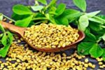 شنبلیله‌ای که اگر خواصش را بدانید تعجب می‌کنید + فیلم