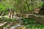 هفت چشمه یکی از زیباترین جاذبه گردشگری شهمیرزاد