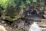 چشمه علی داشی، تلفیقی از خنکای کوه و جنگل و گرمای آب چشمه + فیلم
