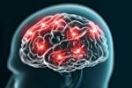 تجدید ساختار مغز انسان در چهل سالگی