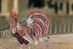 جشن سروشگان زرتشت + تاریخچه و نماد ۱۷ فروردین