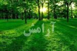 رسیدن به آرامش با توصیههای امام جواد (ع)