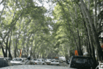چه کسی تهران را چنارستان نامید؟