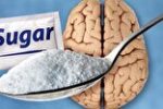 کشف نقش کلیدی گلوکز در فعالیت مغز