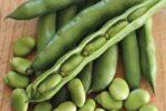 ۸ خاصیت شگفت انگیز و مغذی باقلا