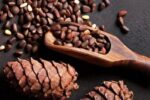 آشنایی با خواص دانه کاج برای سلامتی بدن