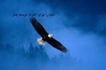 دنیا خوب است، اما وابستگی به آن نه+فیلم