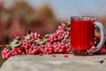 طرز تهیه آب زرشک خانگی به دو روش حرفه‌ای
