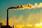 اهمیت قارچها در کاهش آلودگی ناشی از سوختهای فسیلی