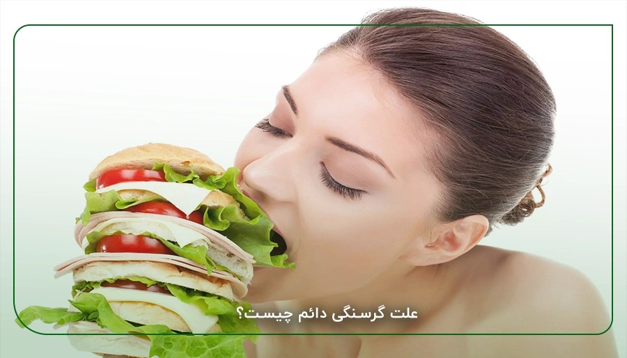 مواردی که می توانند شما را چاق کنند. مواردی که می توانند شما را چاق کنند.